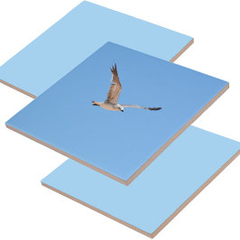 フライトブルーのカモメ タイル