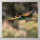 フライトリアルなアートワークを食べるハチ ポスター (正面)