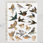 フライト中の鳥とレスト・フッシーのカット (正面/裏面)