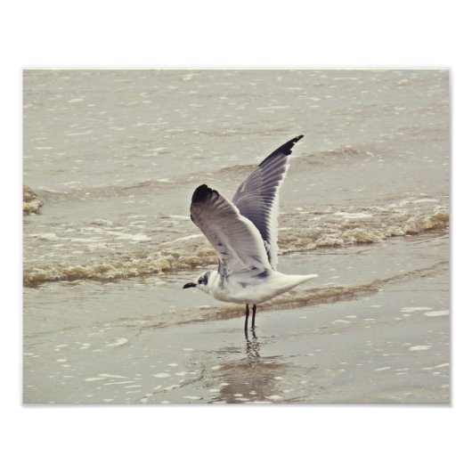 フライト写真の準備完了 フォトプリント            (正面)