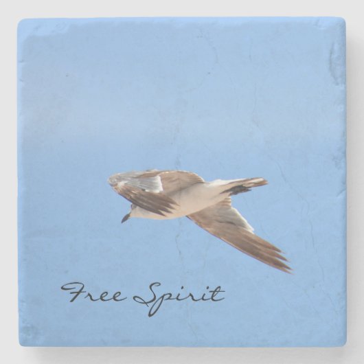 フライト写真ブルーのカモメ ストーンコースター (正面)