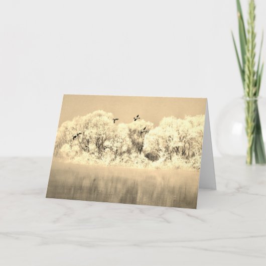 フライト折り畳みノートカードにおける冬のアヒル ノートカード (正面)