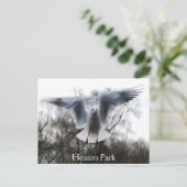 フライト葉書のカモメ ポストカード (スタンド正面)