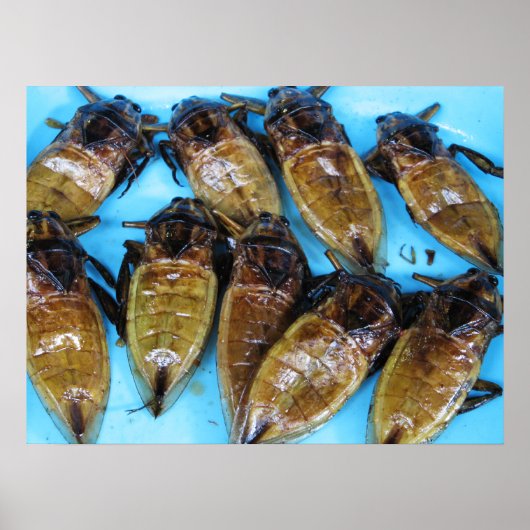 フライドタガメ (ແມลงดา) ... アジア料理 ポスター (正面)