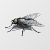 フライバディのシャドーのシースルー窓のフロントスティック ウィンドウサイン (シート)