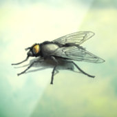 フライバディのシャドーのシースルー窓のフロントスティック ウィンドウサイン (シート3)