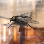 フライバディのシャドーのシースルー窓のフロントスティック ウィンドウサイン (シート2)