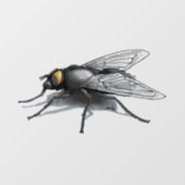 フライバディのシャドーのシースルー窓のフロントスティック ウィンドウサイン (シート)