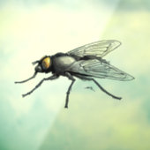 フライバディのシースルー窓のフロントスティック ウィンドウサイン (シート3)