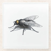 フライバディの巨大なフライ澄んグラスのコースター ガラスコースター (正面)