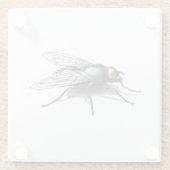 フライバディの巨大なフライ澄んグラスのコースター ガラスコースター (裏面)