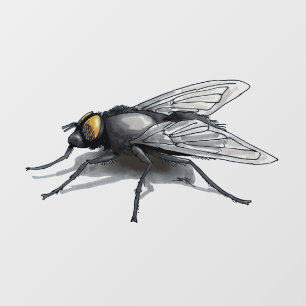 フライバディ小さな影のウィンドウが後ろのスティックを掴む ウィンドウサイン