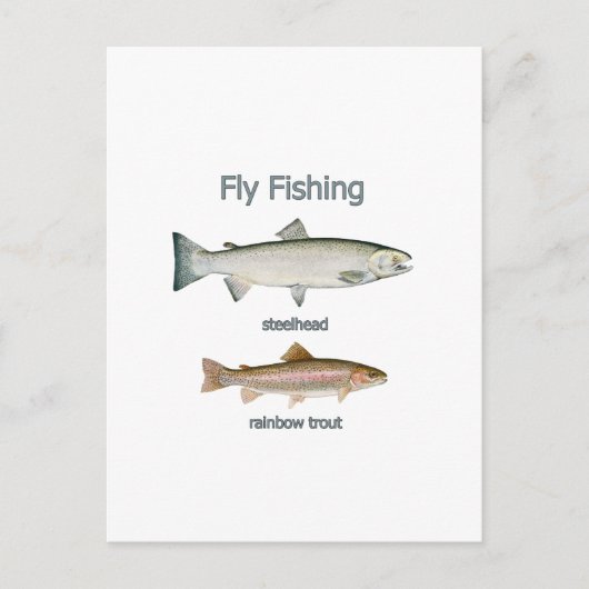 フライフィッシングレインボーマス – Steelhead ポストカード (正面)