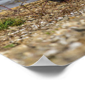 フライフィッシング ポスター (角)