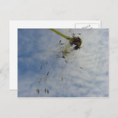 フライベビー ポストカード (正面/裏面)