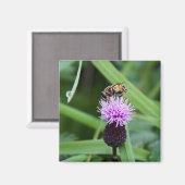 フライマグネット マグネット (正面/裏面)