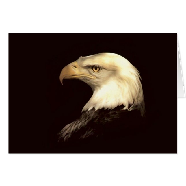 フライヤの王 (正面横)