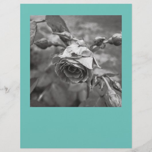 フライヤーの正方形の画像を切り取る チラシ (裏面)