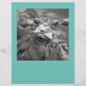 フライヤーの正方形の画像を切り取る チラシ (裏面)