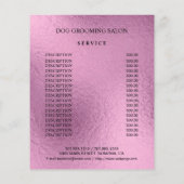 フライヤー (裏面)