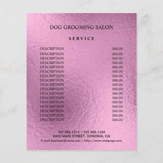 フライヤー (裏面)