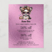 フライヤー (正面)