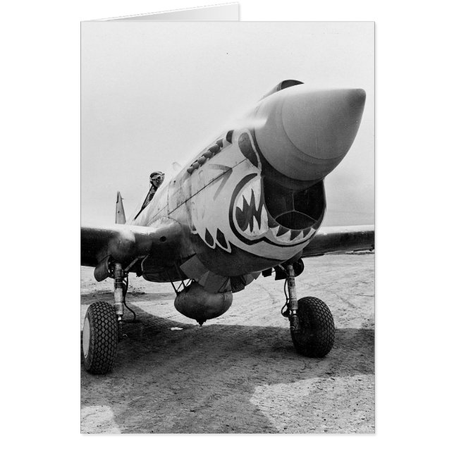 フライングタイガース P-40 ウォーホーク 1941年 (正面)