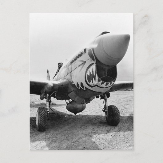 フライングタイガース P-40 ウォーホーク 1941年 ポストカード (正面)