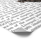 フライング・ゼブラ ポスター (角)