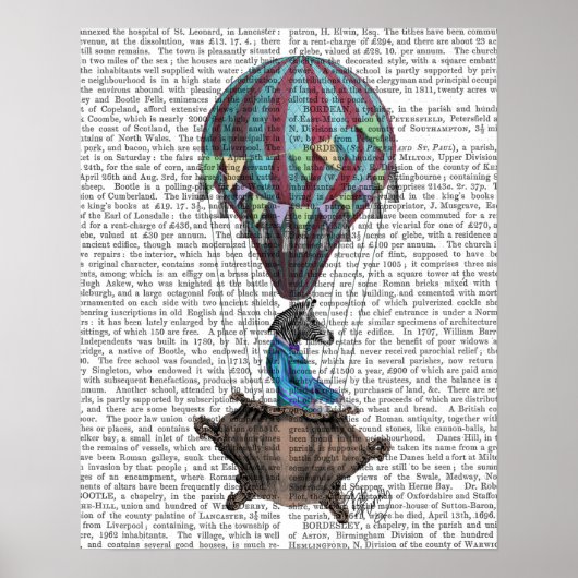 フライング・ゼブラ ポスター (正面)