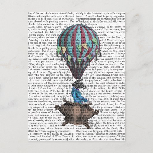 フライング・ゼブラ ポストカード (正面)