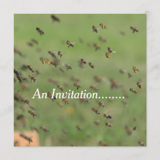 フライング・ビーズ - パーソナライズパーティー招待状 招待状