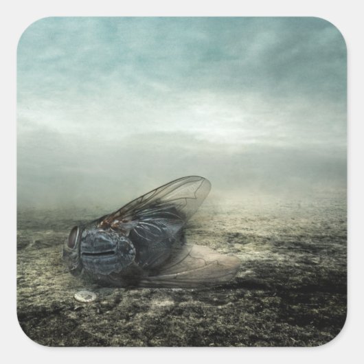 フライ2013 スクエアシール (正面)