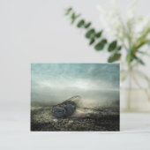 フライ2013 ポストカード (スタンド正面)