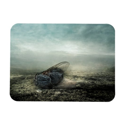 フライ2013 マグネット (横)