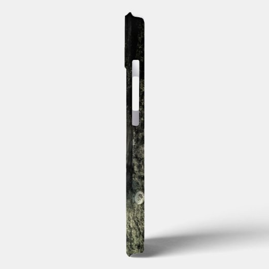 フライ2013 Case-Mate iPhoneケース (裏面 / 左)