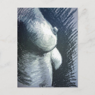 フラウ・アクト ポストカード