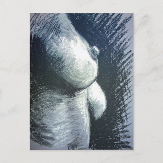 フラウ・アクト ポストカード (正面)