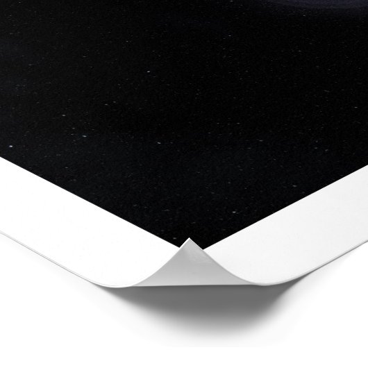 フラキシス ポスター (角)