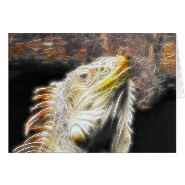 フラクアナ (正面横)