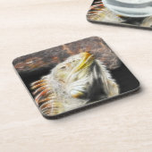 フラクアナ コースター (左側)