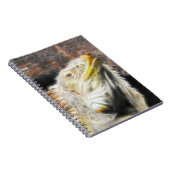 フラクアナ ノートブック (右側)