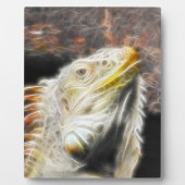 フラクアナ フォトプラーク (正面)