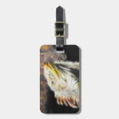 フラクアナ ラゲッジタグ (正面縦)