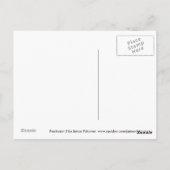 フラクタピン2 ポストカード (裏面)