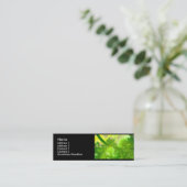 フラクタルの名刺2 スキニー名刺 (スタンド正面)