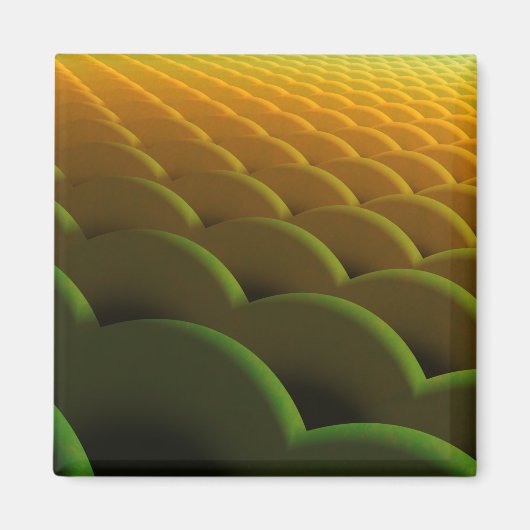 フラクタルはかりで測磁石 マグネット (正面)