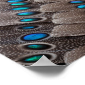 フラクタルデザインキジ羽 ポスター (角)