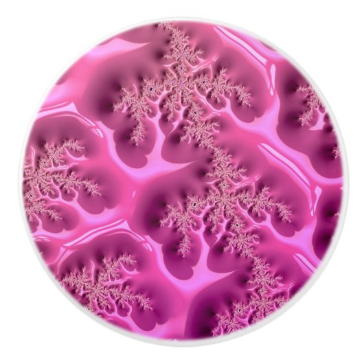 フラクタルパターン～奇妙な奇跡的な薄風変わり化 セラミックノブ (正面)