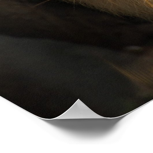 フラクタルライオン ポスター (角)